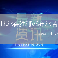 比尔森胜利VS布尔诺