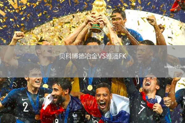 贝科博德冶金VS雅潘FK