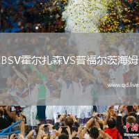 BSV霍尔扎森VS普福尔茨海姆