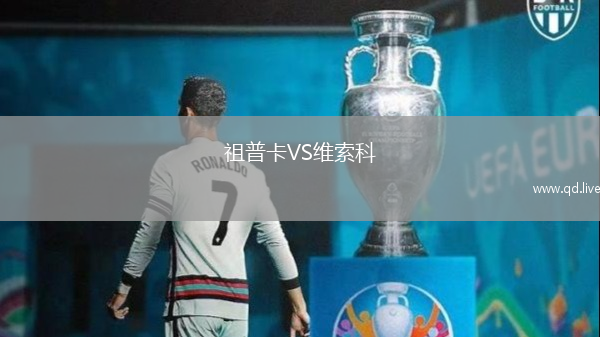 祖普卡VS维索科