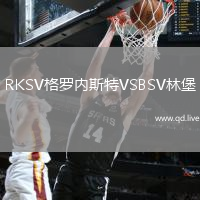 RKSV格罗内斯特VSBSV林堡