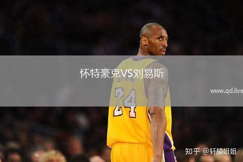 怀特豪克VS刘易斯
