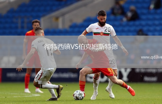 彻特西镇VS伯克姆斯特德