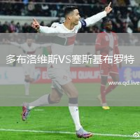 多布洛维斯VS塞斯基布罗特