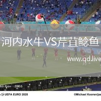 河内水牛VS芹苴鲶鱼