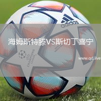 海姆斯特滕VS斯切丁喜宁