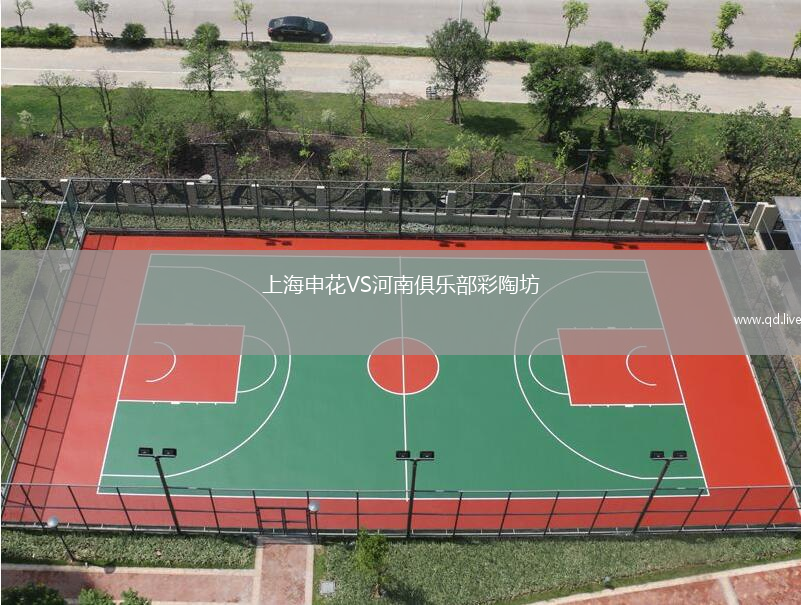 上海申花VS河南俱乐部彩陶坊