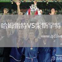哈姆雷特VS柴斯罕特