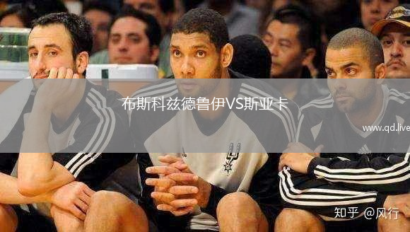 布斯科兹德鲁伊VS斯亚卡