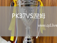 PK37VS涅姆
