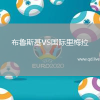布鲁斯基VS国际里梅拉