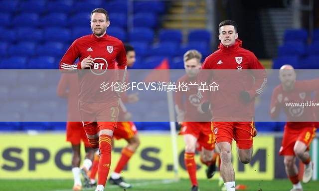 多伦多FCVS新英格兰革命