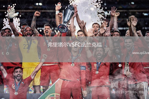 弗里塔尔VSFC法兰克福
