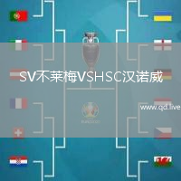 SV不莱梅VSHSC汉诺威