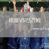 格雷VS巴洛姆