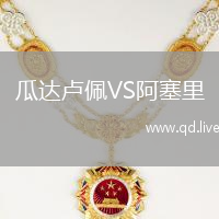 瓜达卢佩VS阿塞里