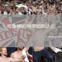 格鲁德VS特罗姆斯达伦
