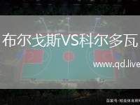 布尔戈斯VS科尔多瓦