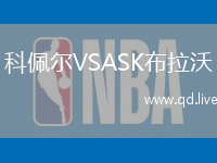 科佩尔VSASK布拉沃