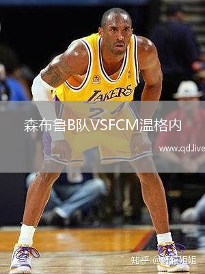 森布鲁B队VSFCM温格内